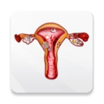 diet & help for uterine fibroids android application logo